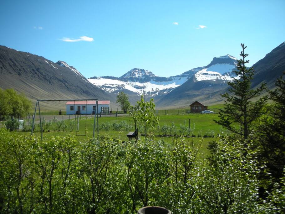 View from the summer house
