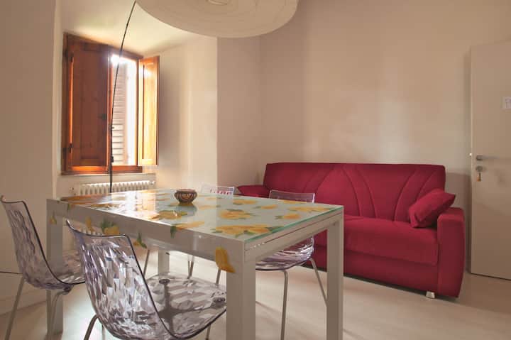 带沙发床的单间公寓