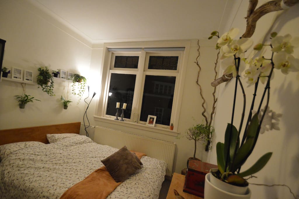 Nette kamer in hartje Nijmegen. Ligt midden in het centrum. Bevat een tweepersoonsbed. Bovendien kan gebruik worden gemaakt van gezamenlijke keuken, toilet, badkamer en dakterras. In het huis wonen drie andere studenten.