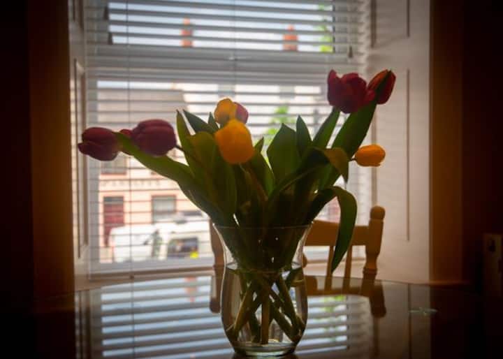 Church Lane Town Centre Warrenpoint Townhouses for Rent in