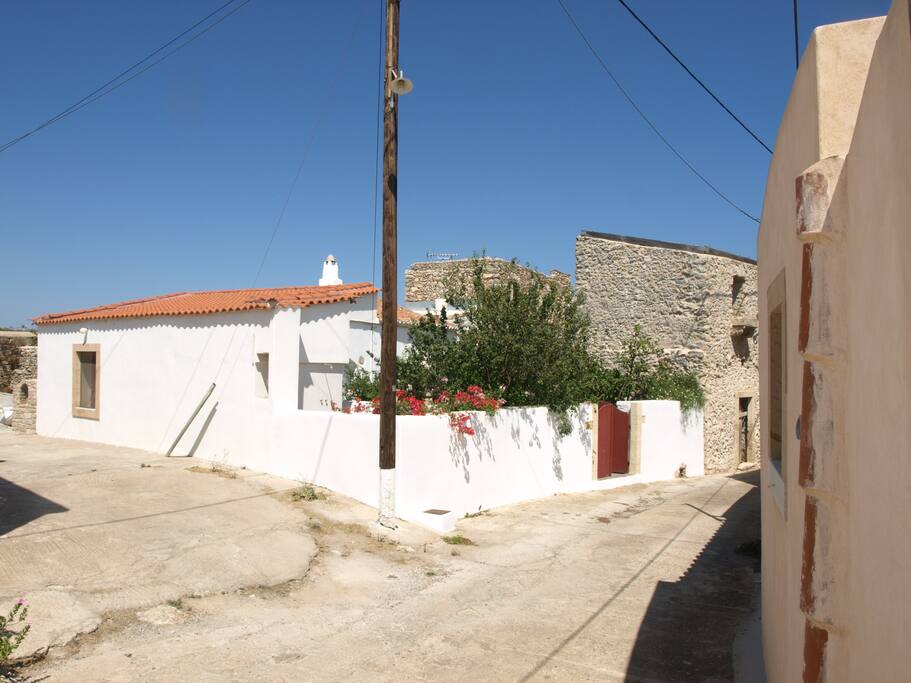 Side of the house