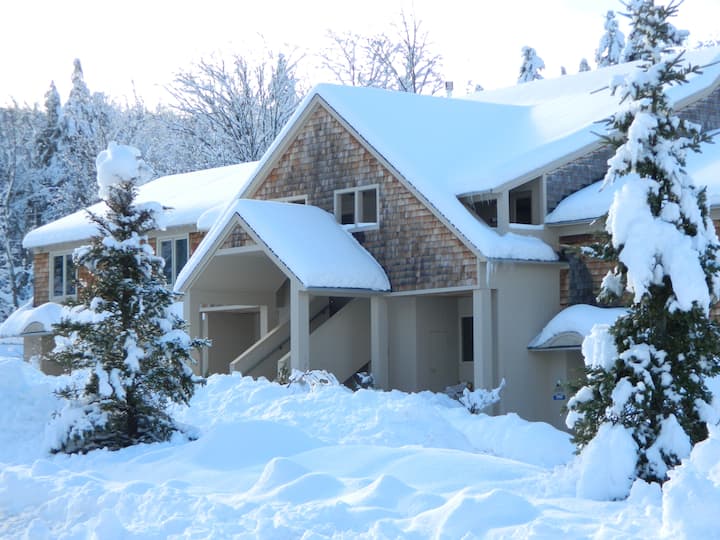 Quiet, Cozy Condo, Fireplace, Come Enjoy Winter! Condominiums for