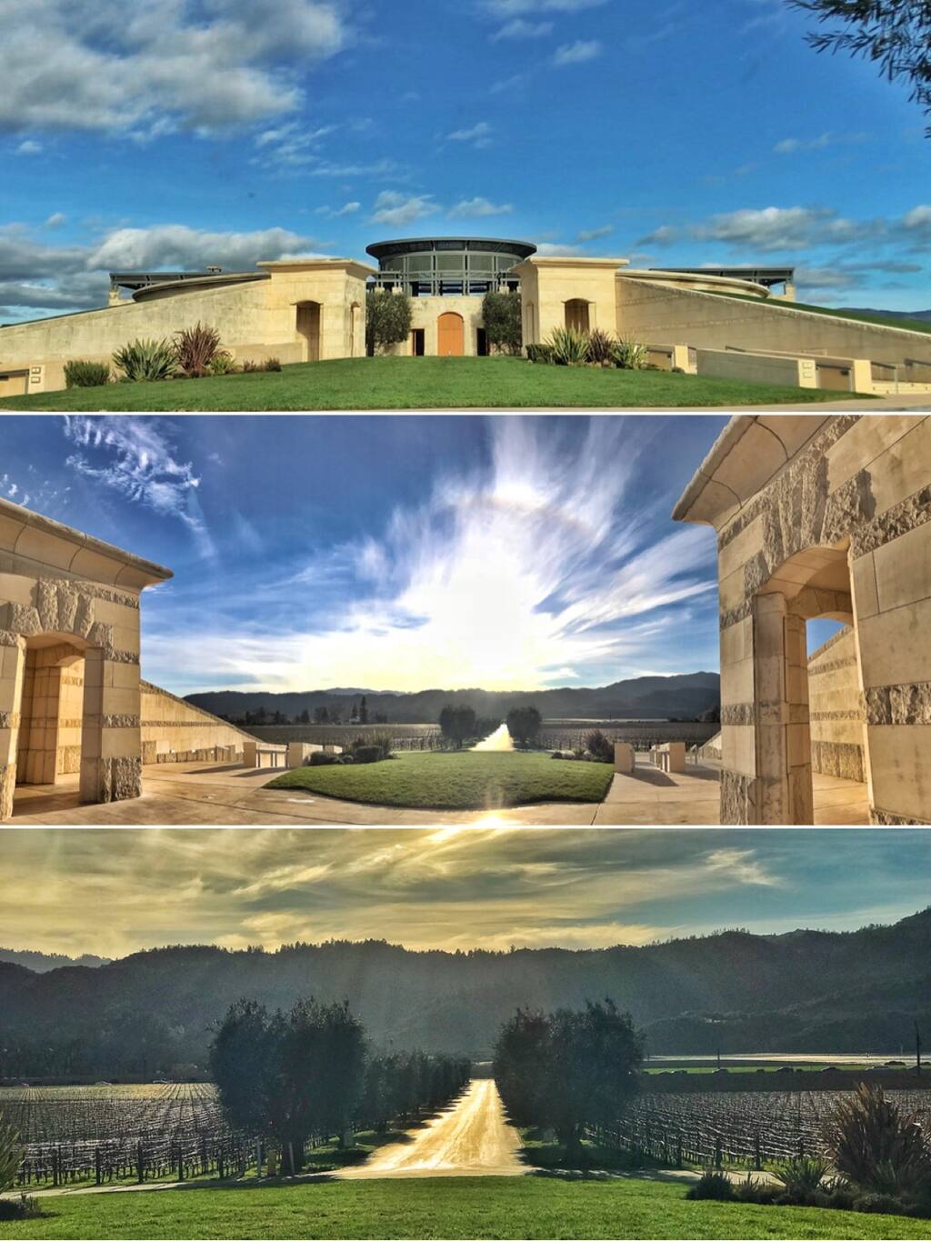 Napa酒乡纳帕必打卡之 Opus One 作品一号 酒庄 旅游攻略 尽在airbnb爱彼迎