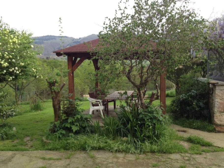 Front garden with patio