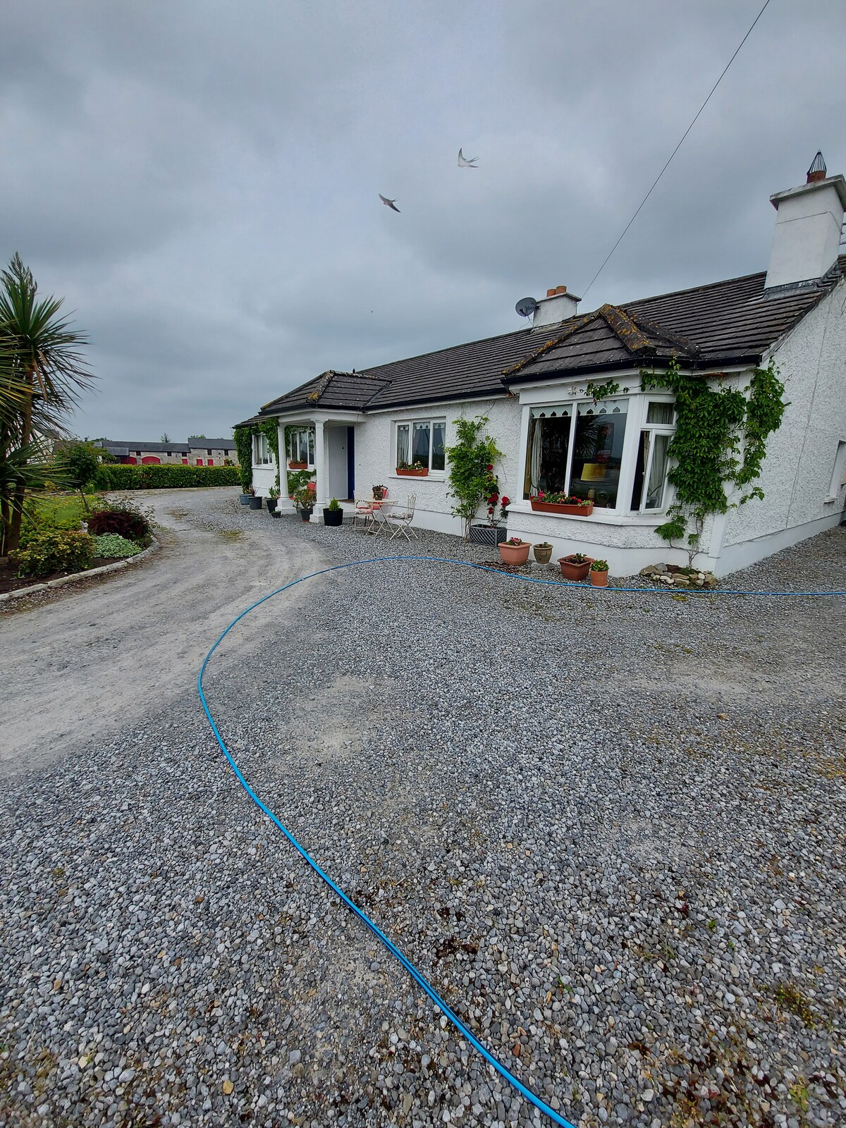 A charming single-story home is set amidst a gravel driveway, bordered by lush greenery and potted plants. Large windows offer a glimpse into the interior, while a cloudy sky looms overhead. The surrounding landscape features open fields in the background.