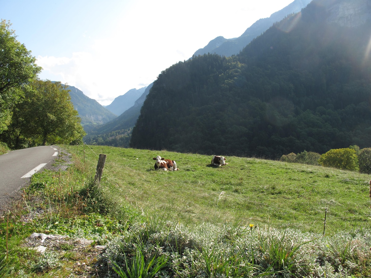 A scenic mountain view features a green pasture where cows are grazing gently. Rolling hills and dense forests create a serene backdrop, with mountains rising in the distance under a partly cloudy sky. The road lines the left edge, enhancing the tranquil rural landscape.