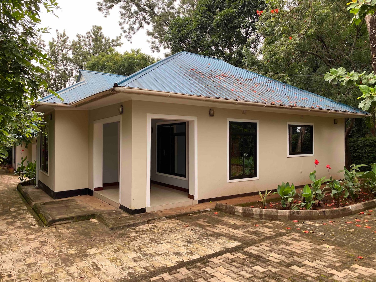 A single-story house is surrounded by greenery, featuring a light-colored exterior and a blue roof. Large windows allow light to enter the open layout, while well-maintained pathways lead to the entrance. Flowering plants enhance the outdoor area.