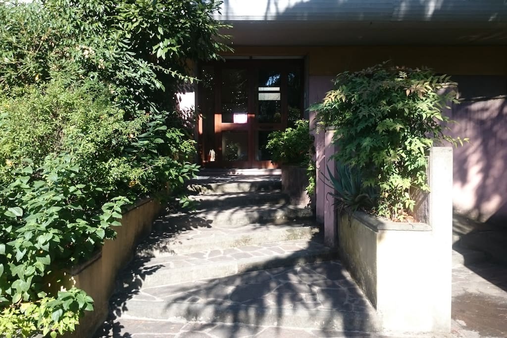 Ingresso