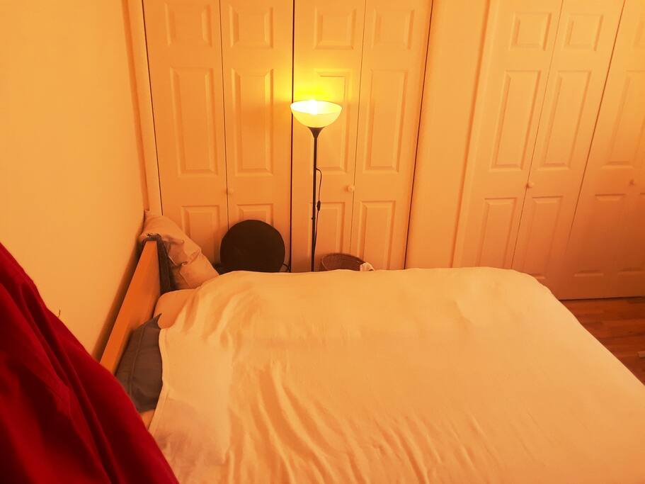 Comfy Bed Queen sized