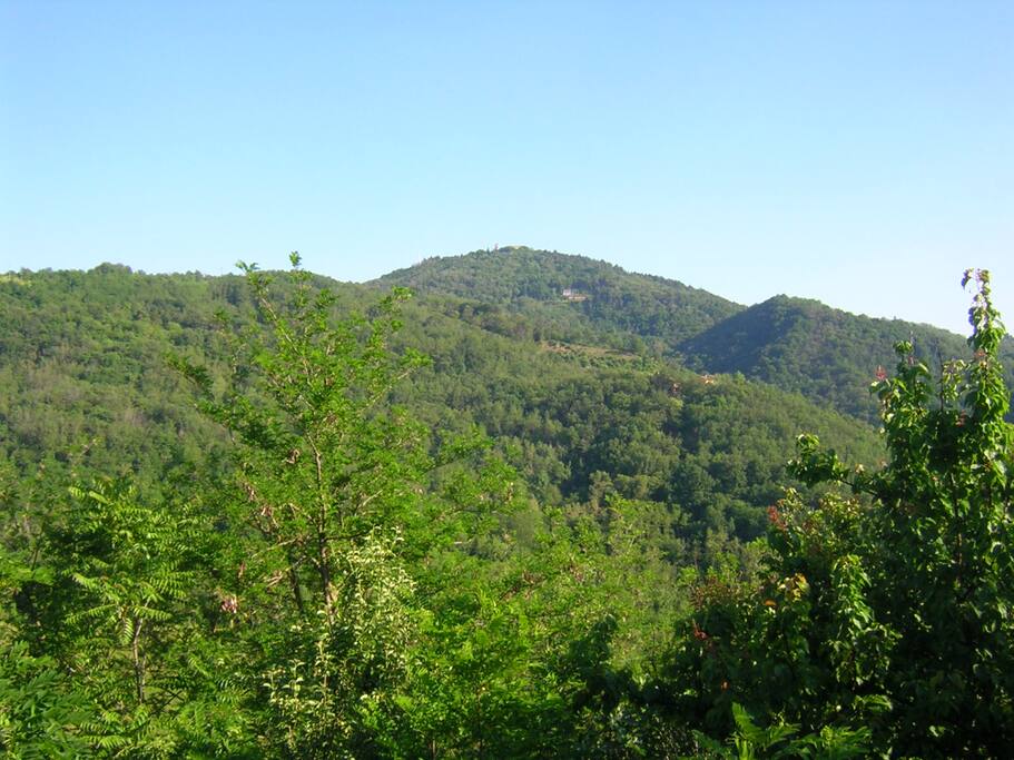 Vista paesaggio!