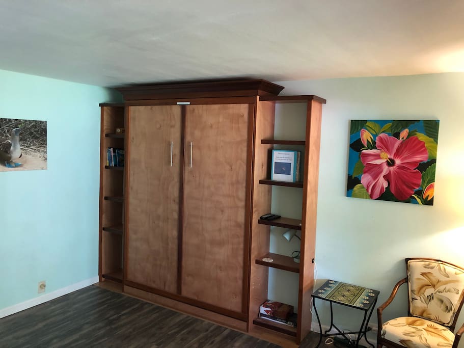 Queen-size Murphy bed in the closed position.