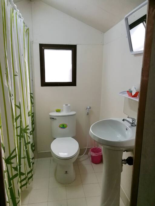 Traditional Cabin bathroom