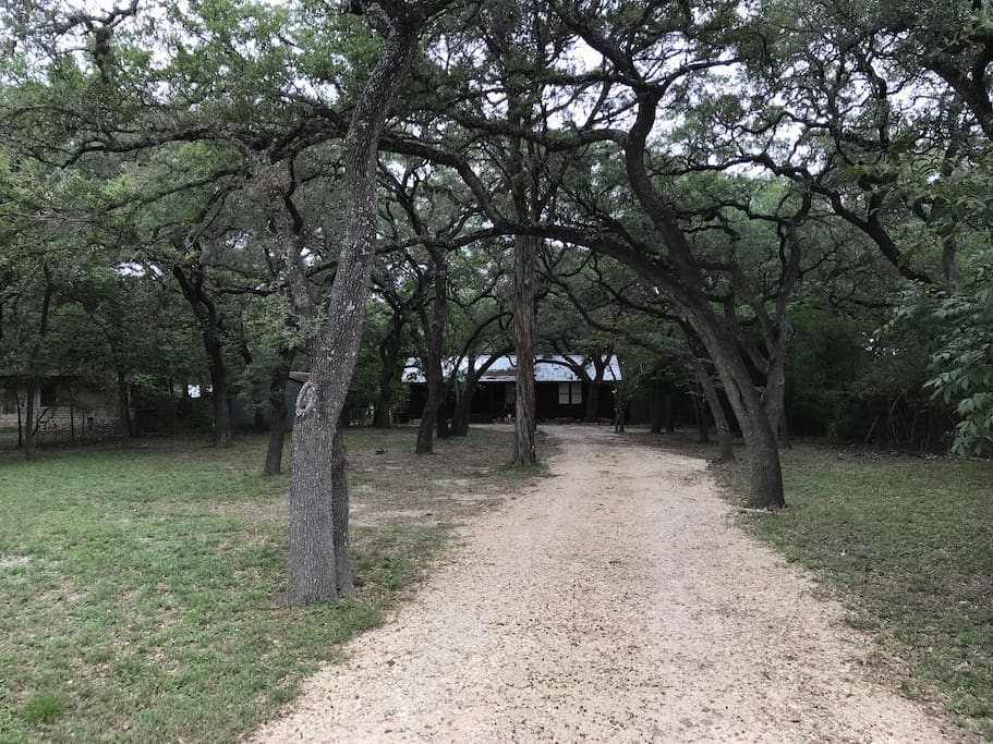 The driveway up to the house. It is discreet from the gravel road.