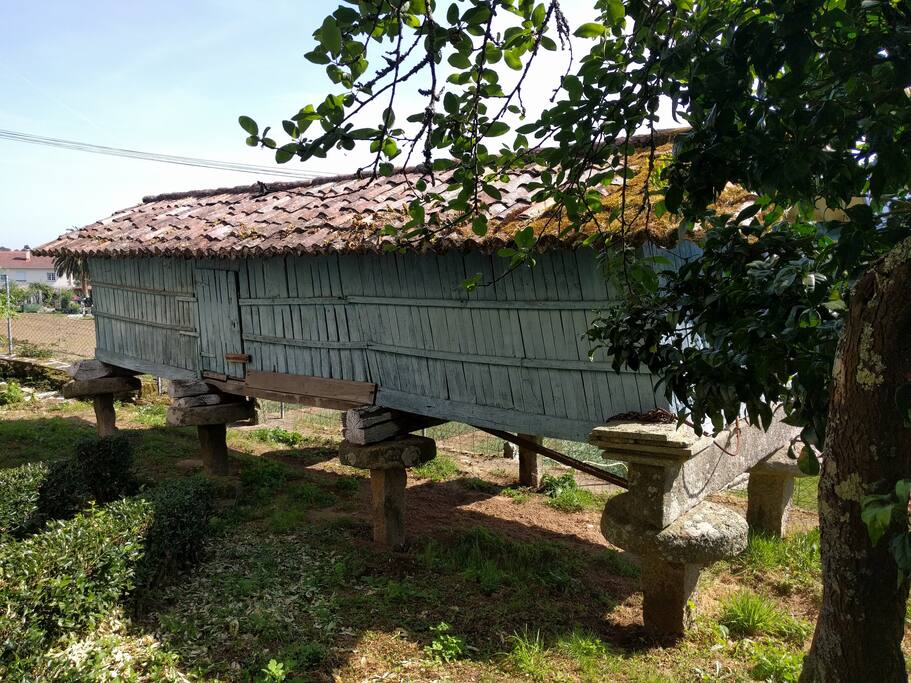 horreo