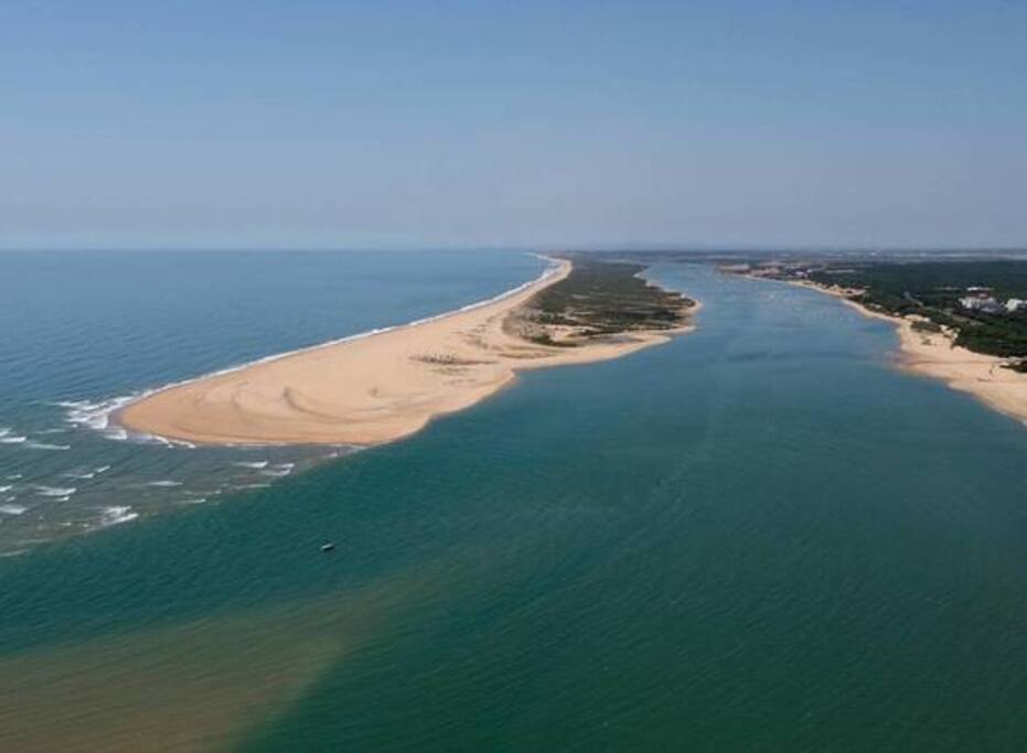 Flecha litoral