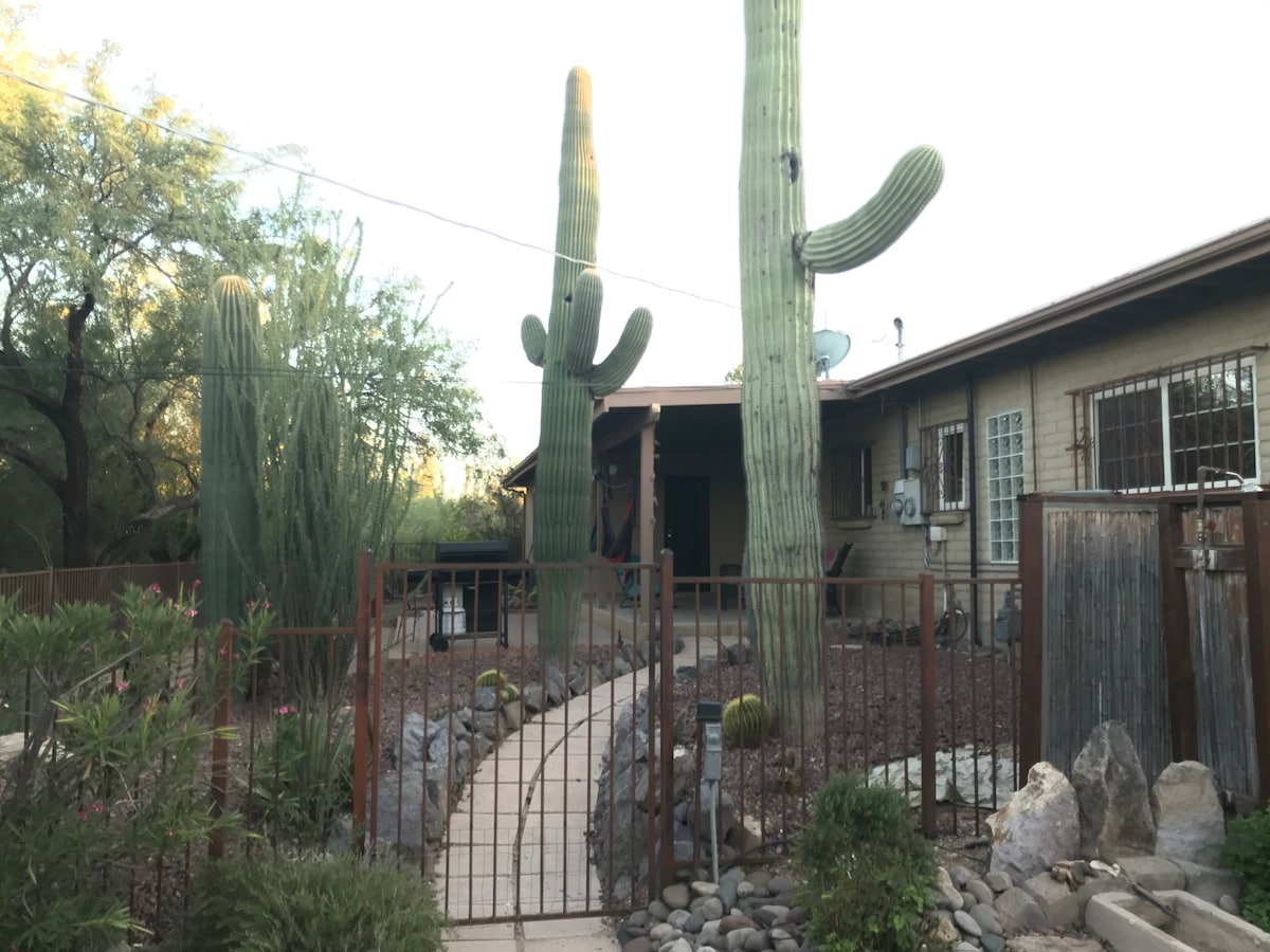 The exterior of a home is showcased, framed by tall cacti and desert vegetation. A winding pathway of smooth stones leads to the entrance, which is set under a covered porch. The natural landscaping highlights the surrounding peaceful desert ambiance.