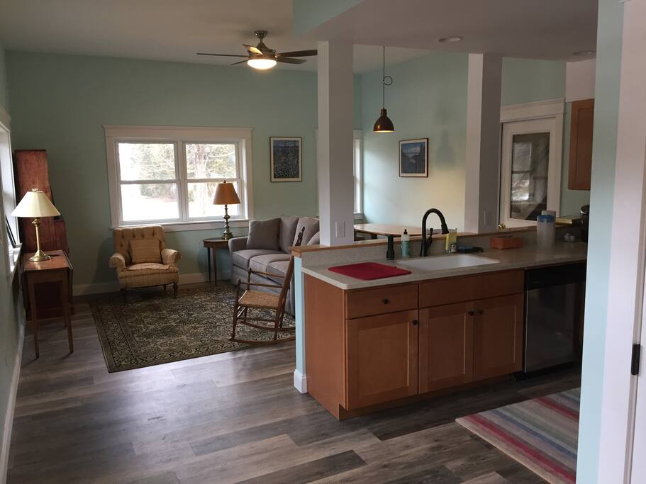 Main living space including queen sleeper sofa and dining table.