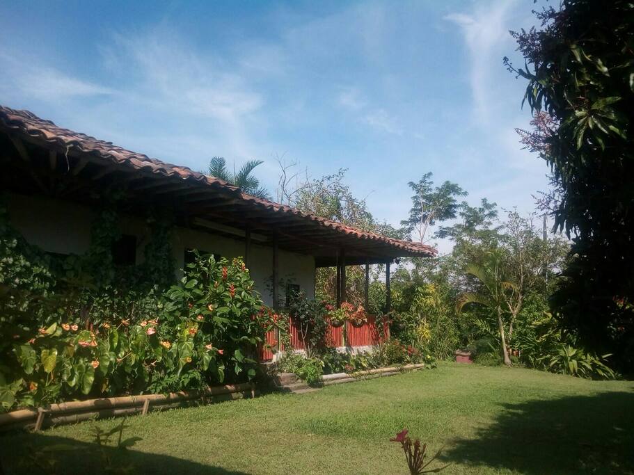 Visit us on facebook @pachamamacoffeefarm