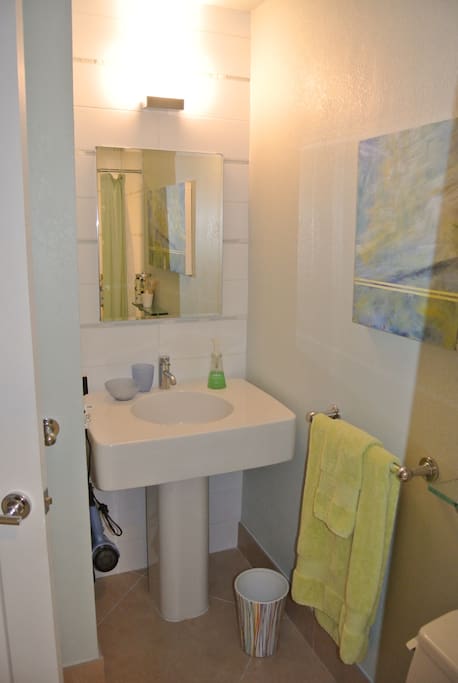 Private guest bathroom