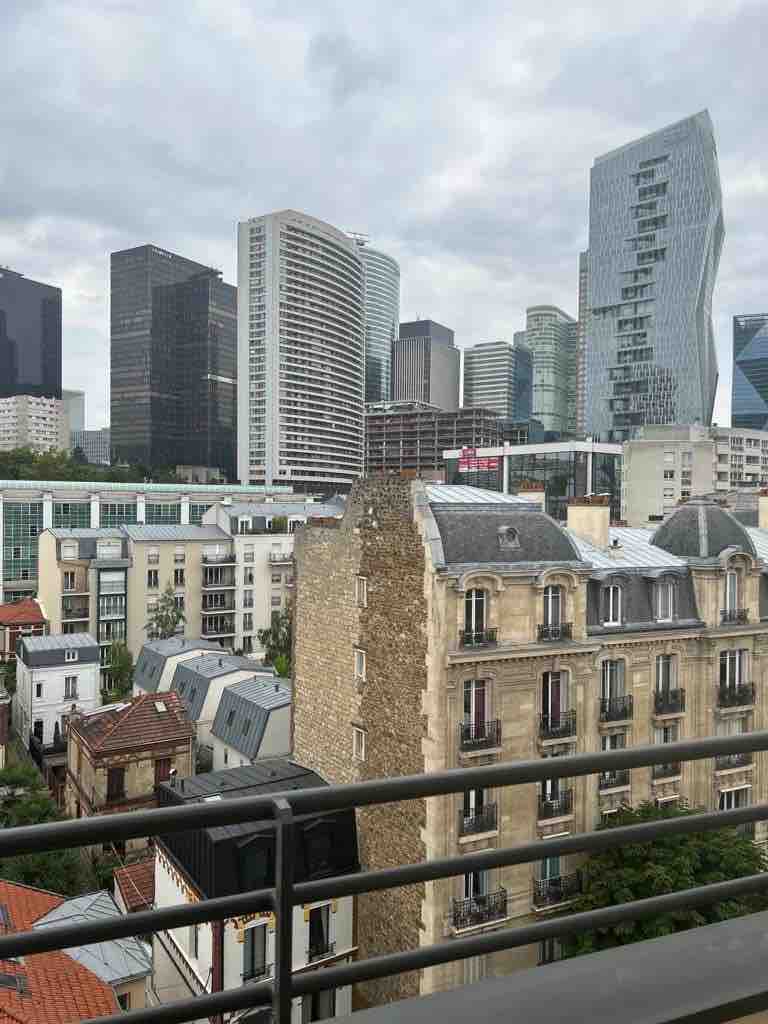 A city skyline is visible featuring a mix of modern high-rise buildings and classic architecture. The view includes structures with glass facades and distinctive shapes, while rooftops with a variety of textures can be seen in the foreground.