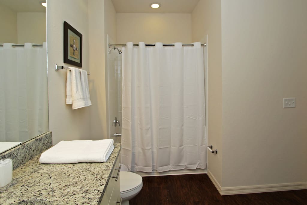 Master Bathroom Downstairs