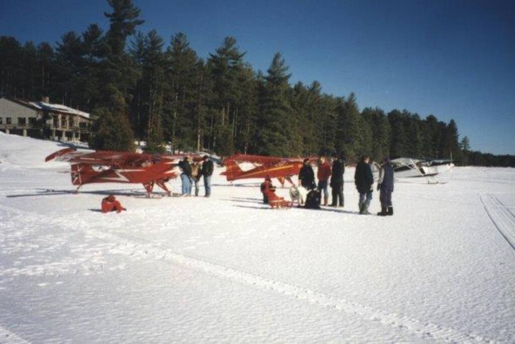 When the lake is frozen you never know who will “drop by”!