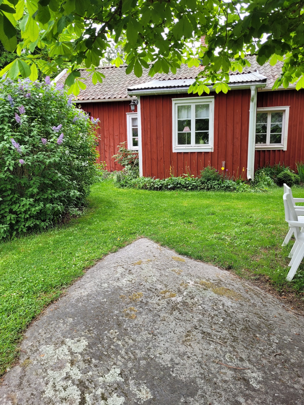 A charming wooden house is framed by lush greenery, featuring white-framed windows that invite natural light. A stone pathway leads toward the entrance, bordered by flowering bushes and grass. A white chair is positioned nearby, offering a serene spot to enjoy the surrounding nature.