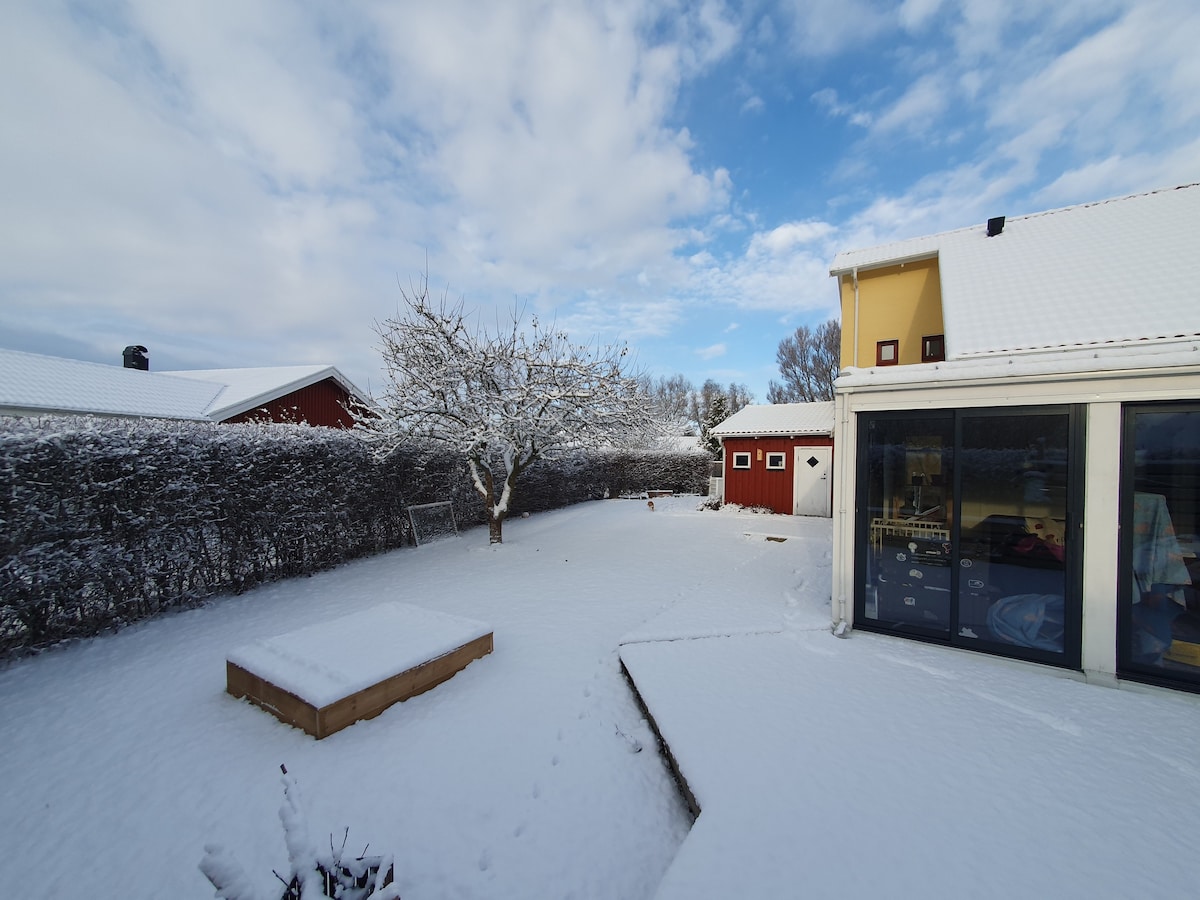 A snow-covered backyard features a low wooden platform at its center, surrounded by a blanket of white snow. A barren tree stands to the left, and a small red shed is visible in the background. The scene is framed by a hedge under a partly cloudy sky.