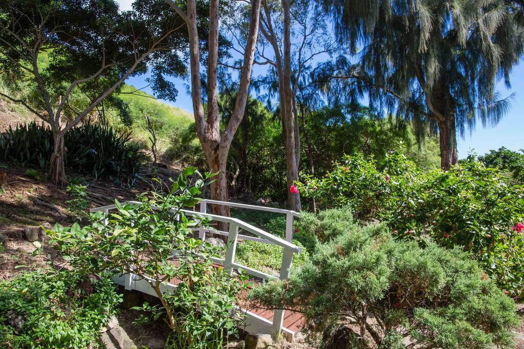 Beautiful yard with flowers, trees, and bridge