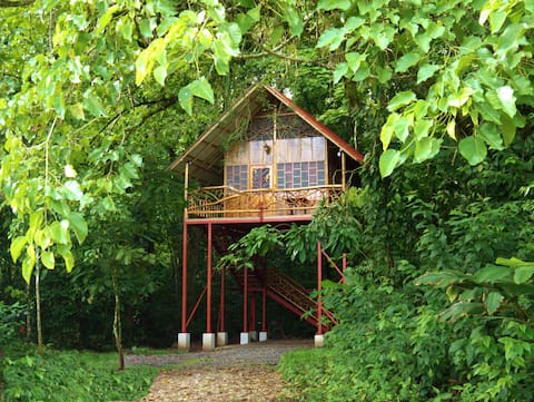 Magical Jungle Tree House with Hot Springs
