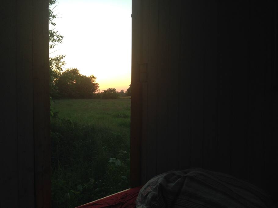 Blick aus dem Bauwagen über die Koppeln zum Treenedeich