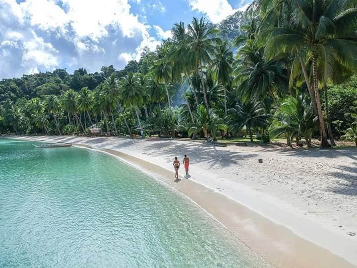 Gentle waves lap at a sandy beach bordered by tall palm trees. Two individuals walk along the shoreline, with lush greenery and a serene bay visible in the background. The sky is partially cloudy, allowing glimpses of sunlight to reflect on the water's surface.