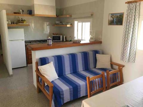 Successful Airbnb property: Traditional house wrapped in a gorgeous vineyard in Formentera