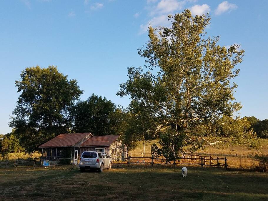Cedar Cabin at Meramec Farm Cabins for Rent in Bourbon, Missouri