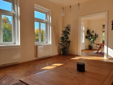 100 m² apartment in the heart of Steyr