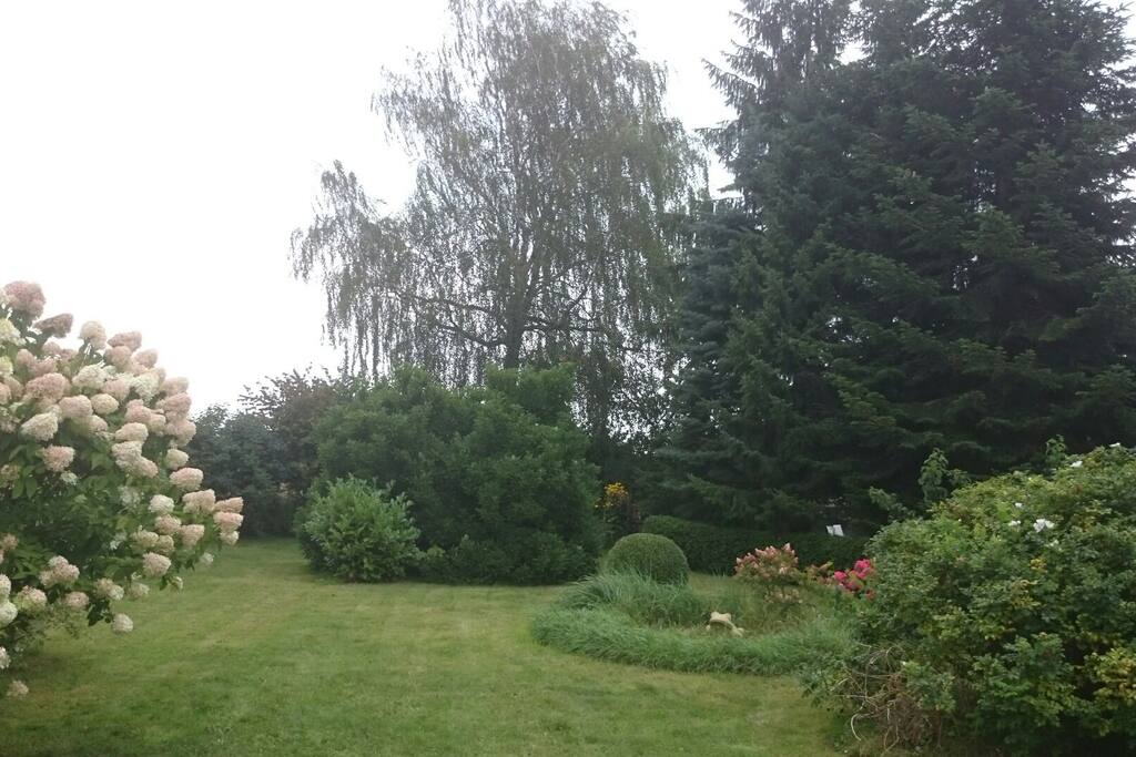 Ein Teil des Gartens im Sommer