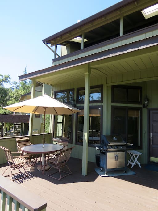 Main patio area including barbecue