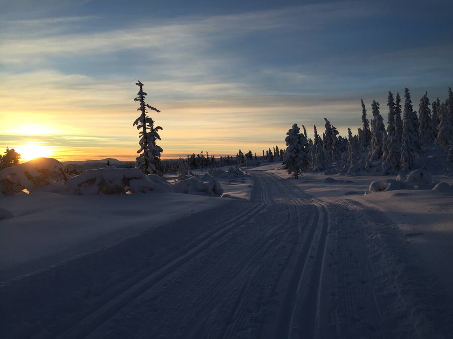 Skiløype i solnedgang