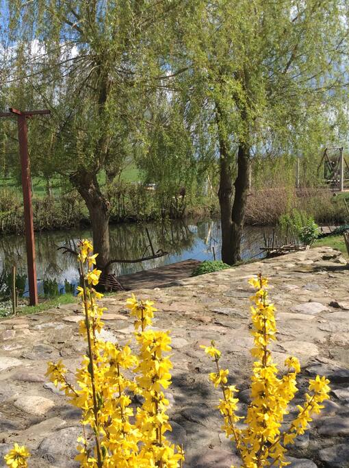 Das ist unser Teich auf dem Hof. Dort bitte nicht angeln.