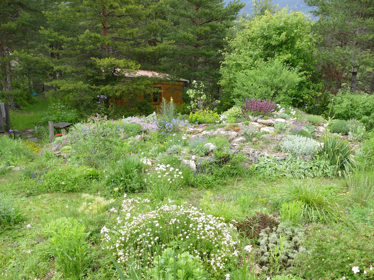 A lush garden is shown, featuring diverse plant life and vibrant greenery. Various flowering plants and herbs cover the landscape, creating a natural feel. A rustic cabin is partially visible in the background, surrounded by trees and shrubs, providing a peaceful ambiance.