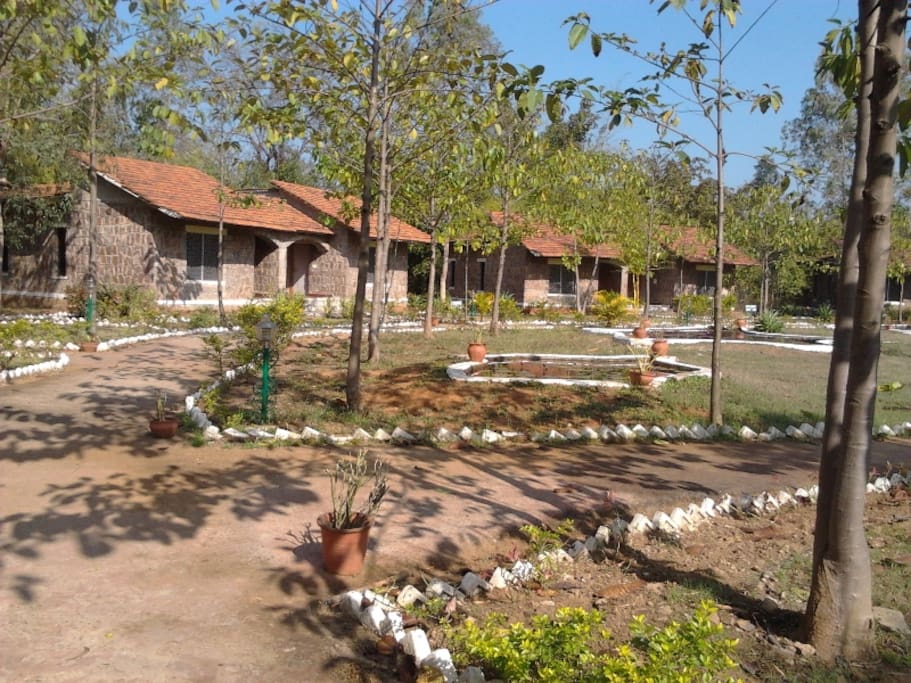 row cottages