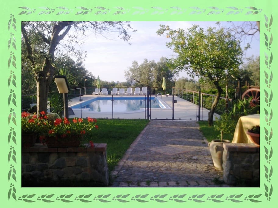 zona garden