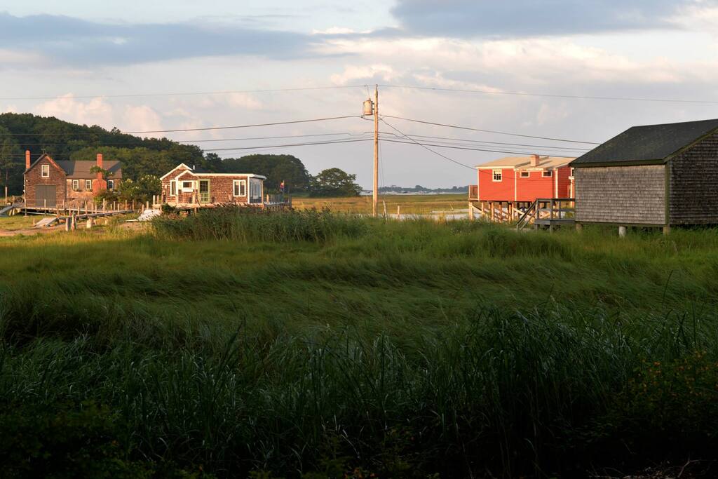 The view from the backyard