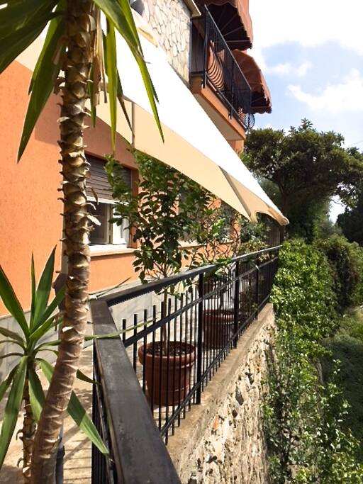esterno, dettaglio