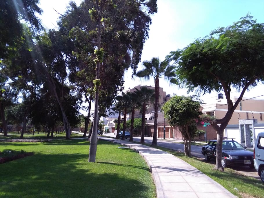 Park in front of the apartment