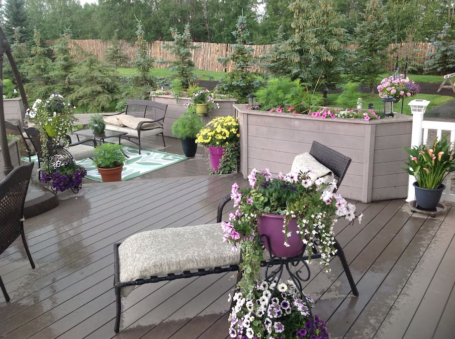 Back deck