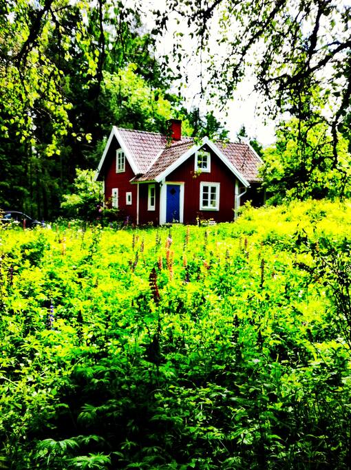 The house