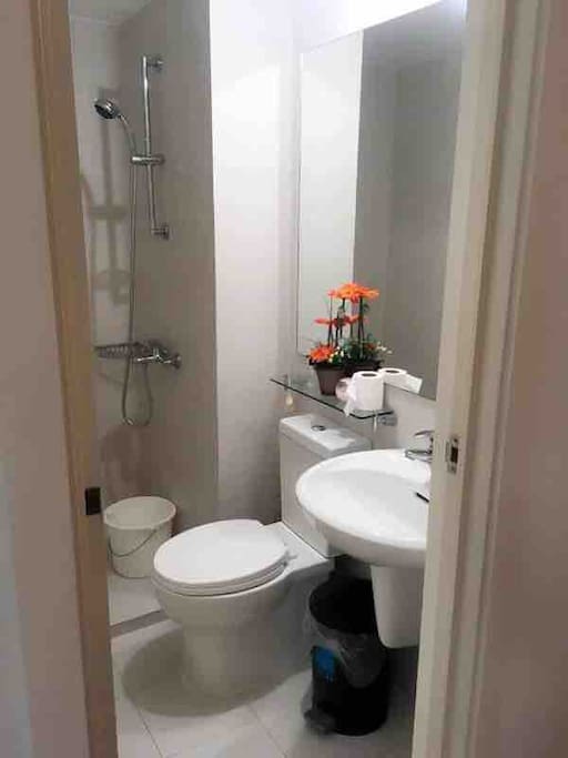 Toilet with shower and water heater