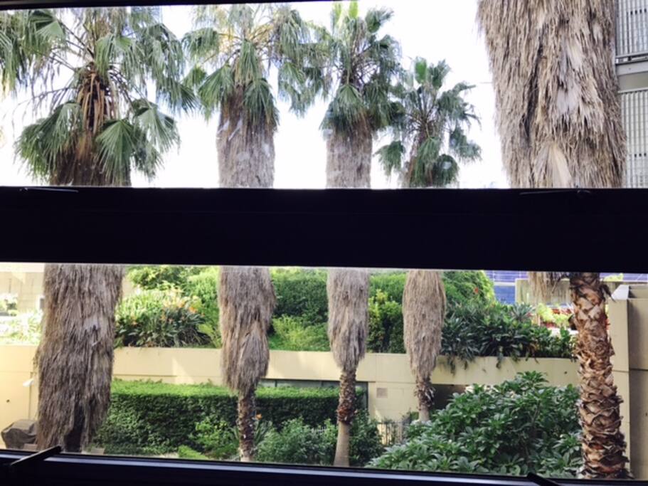 Window Views