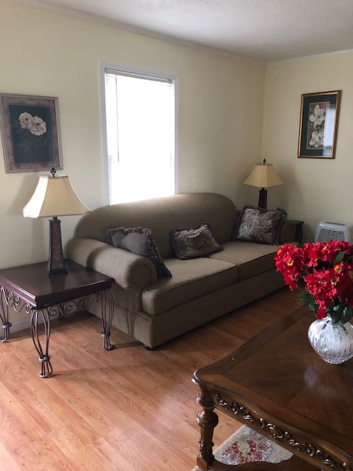Living room sofa-sleeper